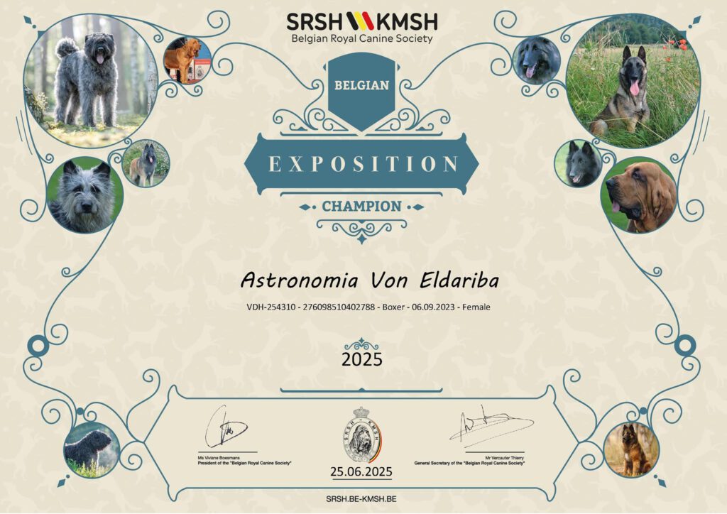 Astronomia Belgischer Champion
