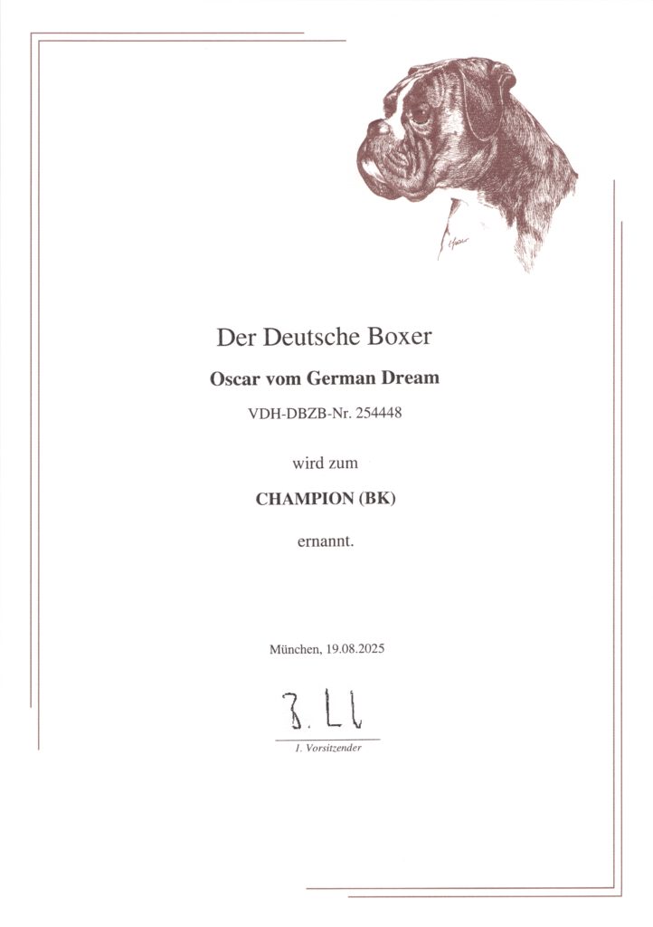 Oscar vom German Dream BK-Champion