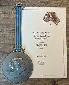 Maui vom German Dream Deutscher Champion BK