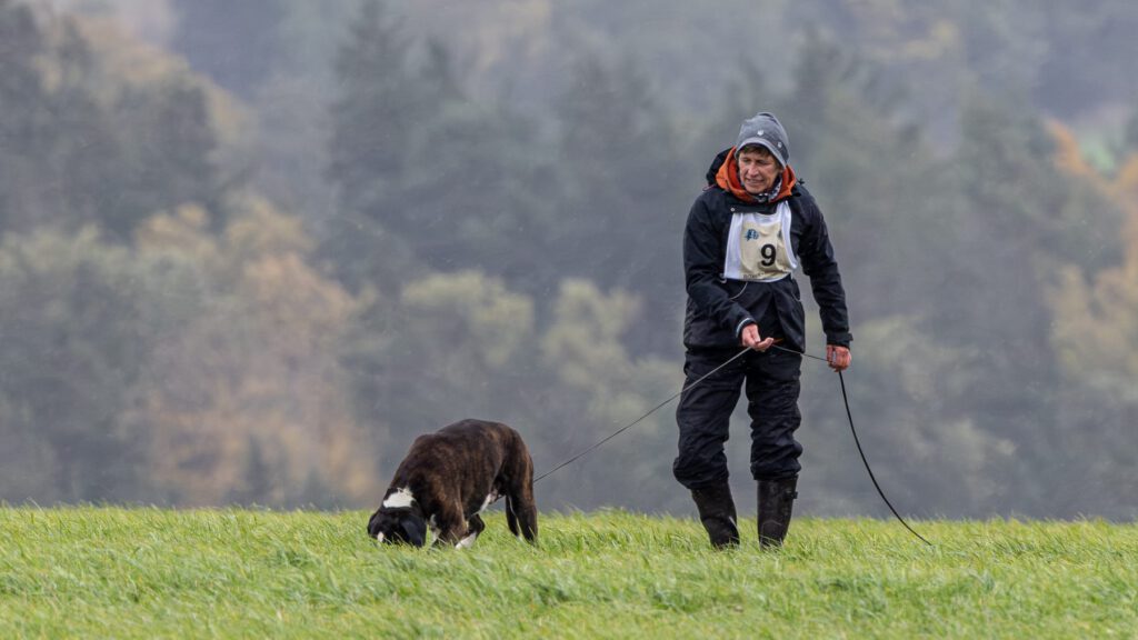 Deutsche Meisterschaft FCI-IFH 2025