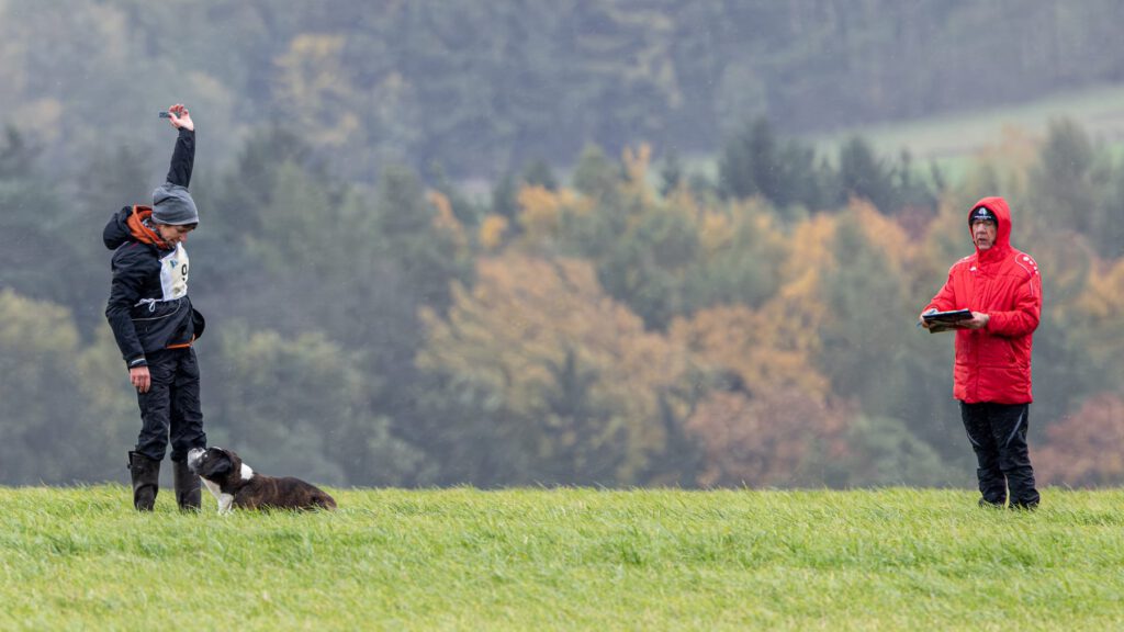 Deutsche Meisterschaft FCI-IFH 2025
