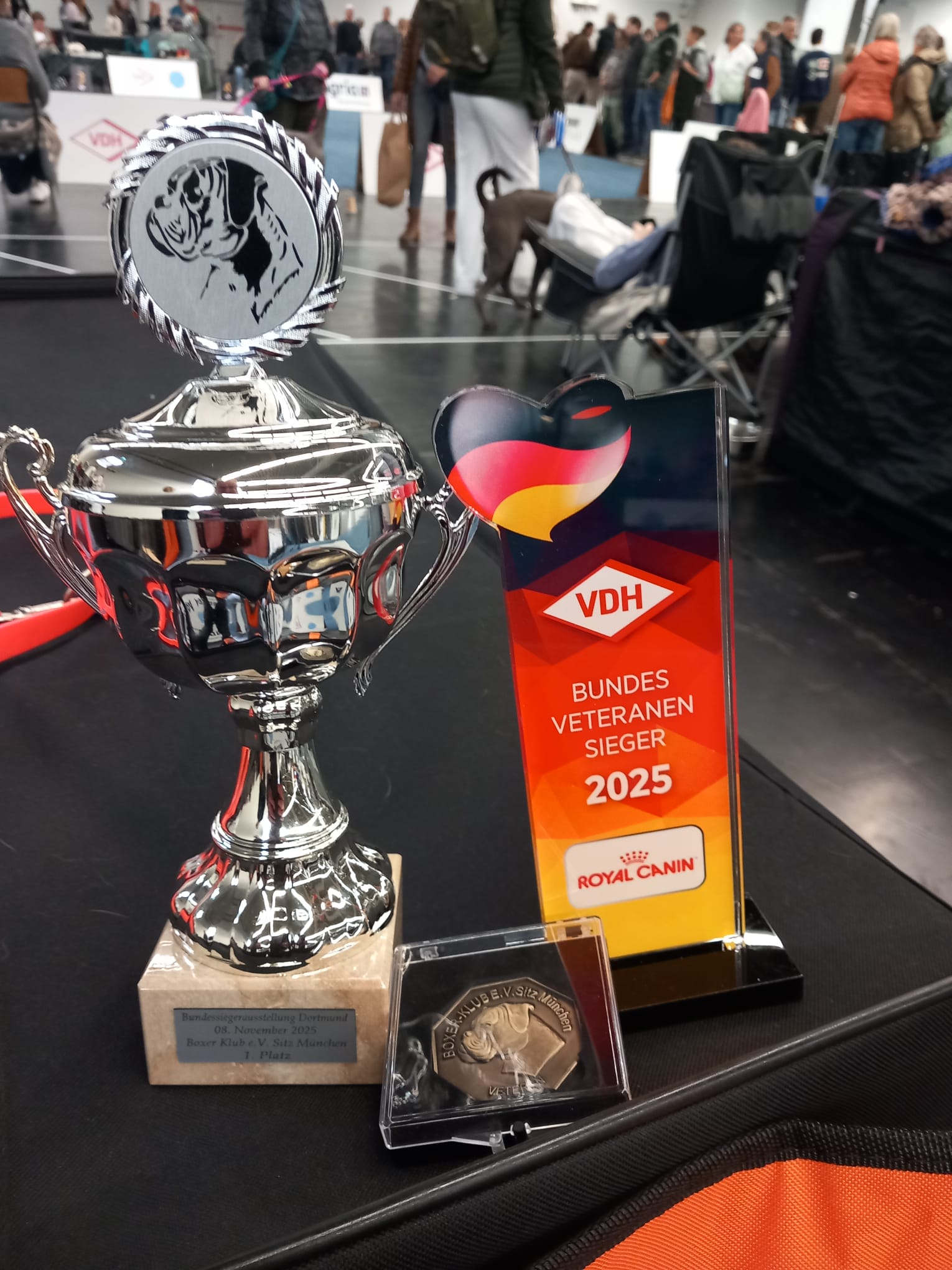 Zoltan vom German Dream ist Bundes-Veteranensieger 2025