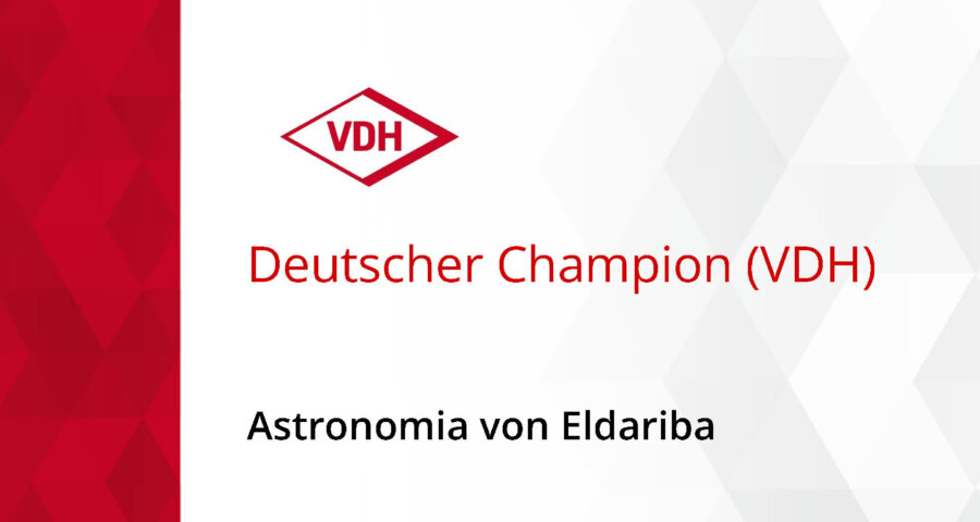 Astronomia von Eldariba Deutscher Champion VDH