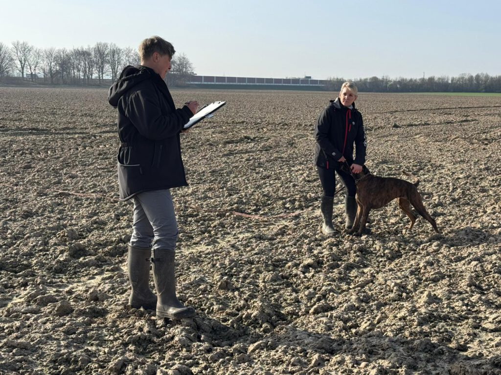 Qualiprüfung IGP 2026 Jülich