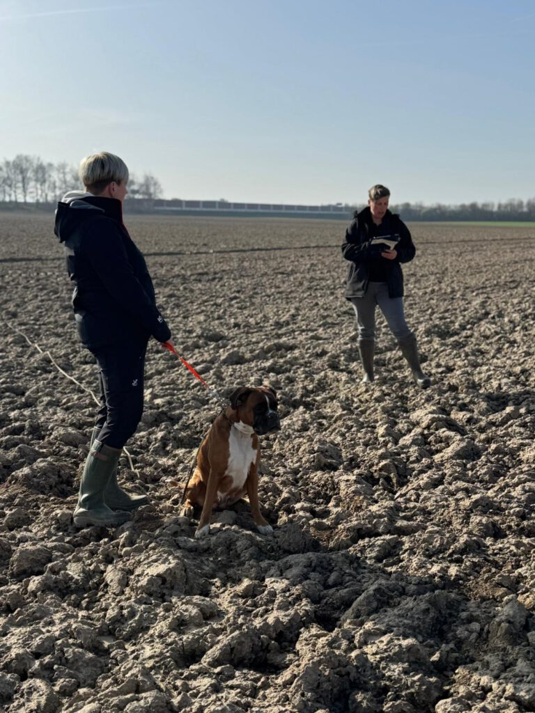Qualiprüfung IGP 2026 Jülich