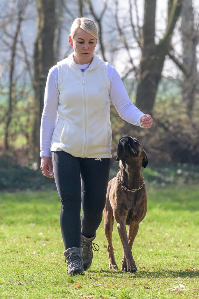 Qualiprüfung IGP 2026 Jülich