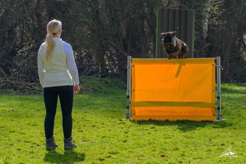 Qualiprüfung IGP 2026 Jülich