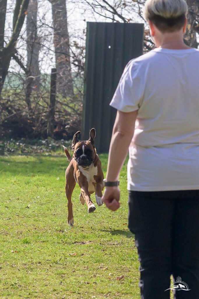 Qualiprüfung IGP 2026 Jülich