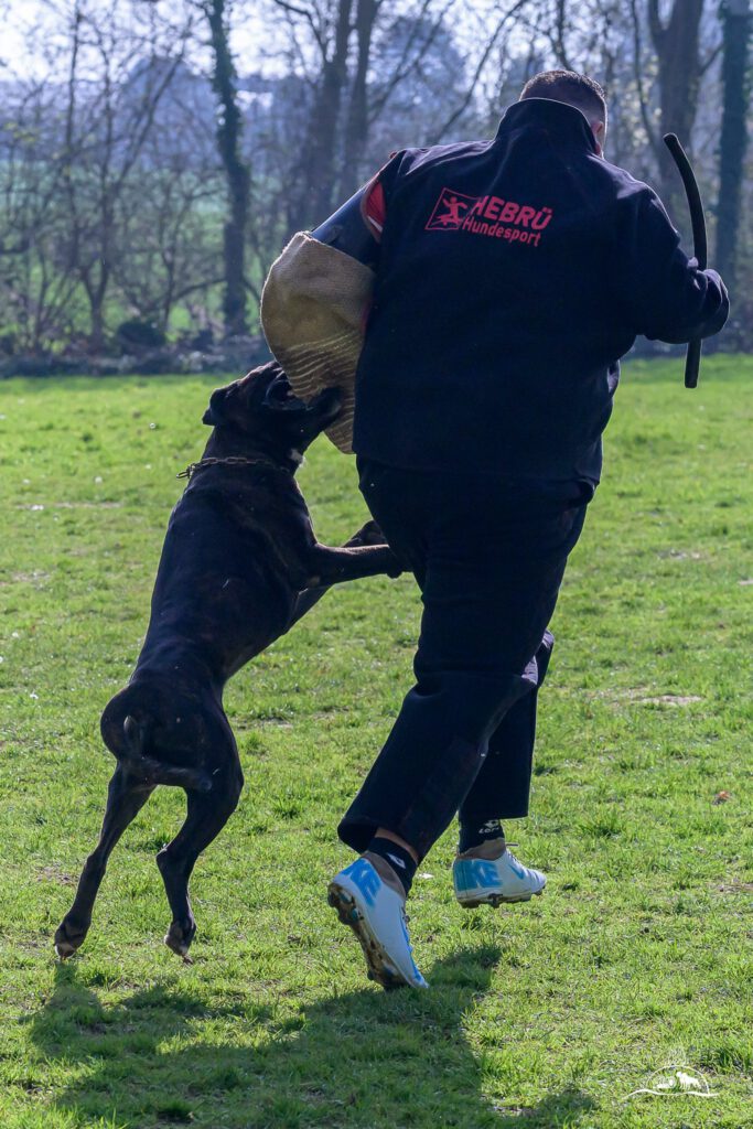 Qualiprüfung IGP 2026 Jülich