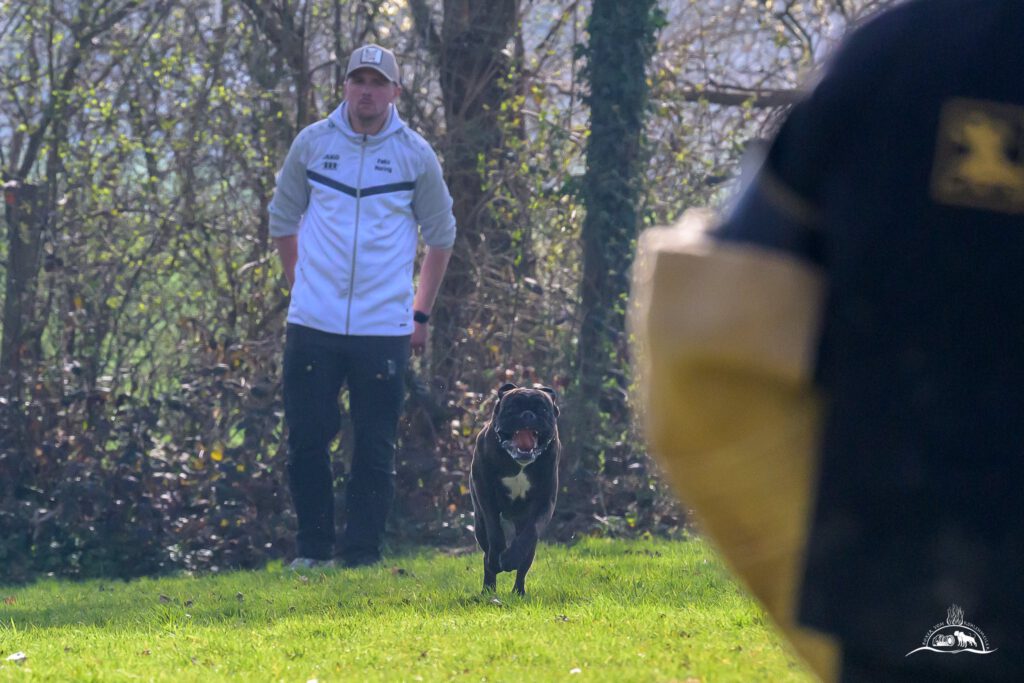 Qualiprüfung IGP 2026 Jülich