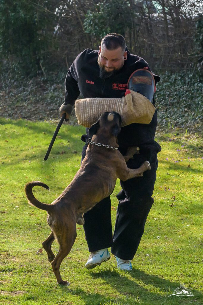 Qualiprüfung IGP 2026 Jülich