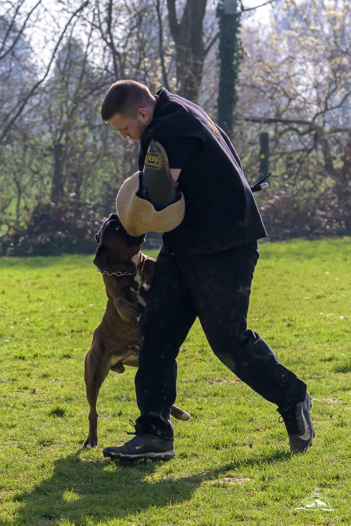 Qualiprüfung IGP 2026 Jülich