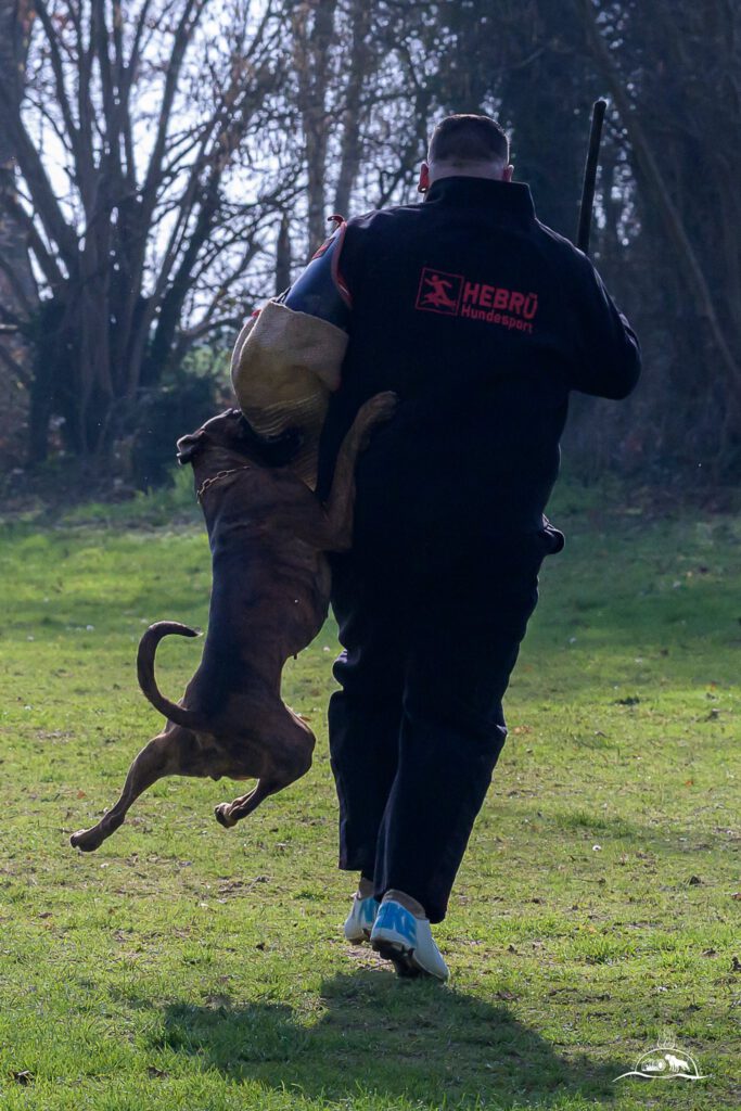 Qualiprüfung IGP 2026 Jülich