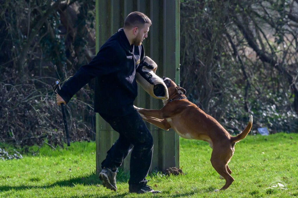 Qualiprüfung IGP 2026 Jülich