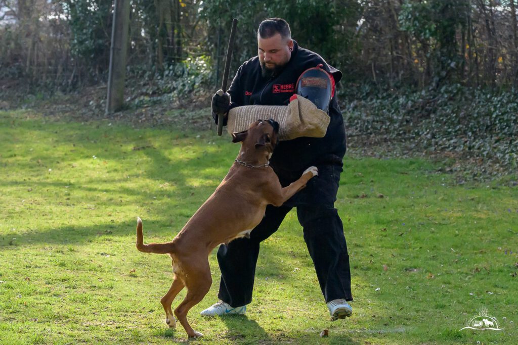 Qualiprüfung IGP 2026 Jülich
