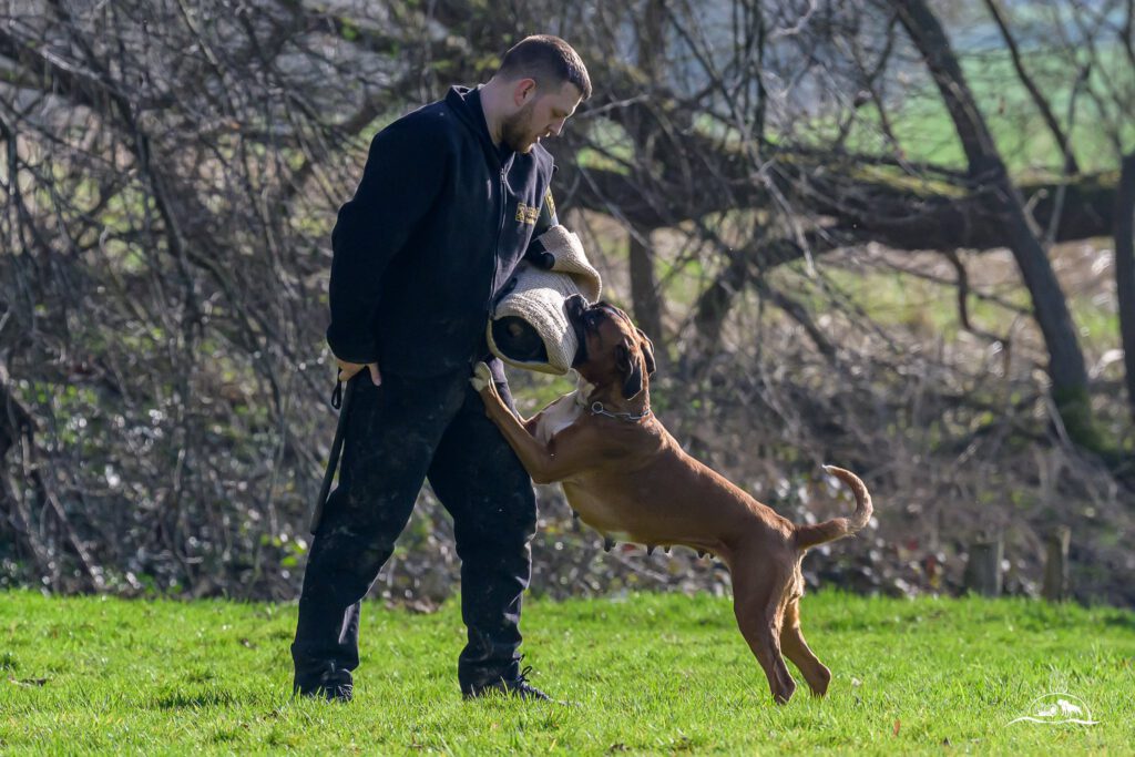 Qualiprüfung IGP 2026 Jülich