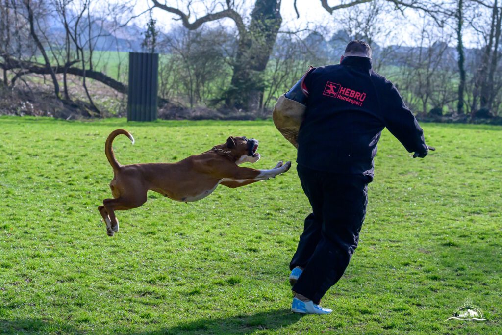 Qualiprüfung IGP 2026 Jülich