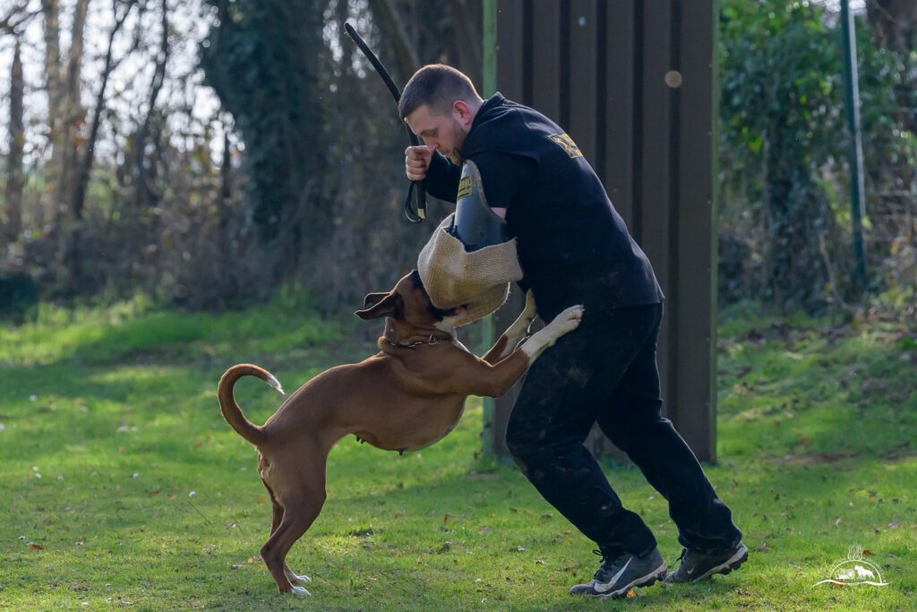 Qualiprüfung IGP 2026 Jülich