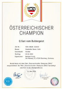Q-Sari Champion Österreich
