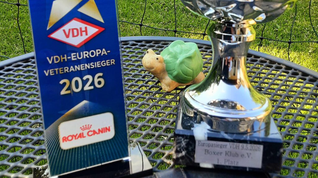 Zoltan vom German Dream Europasieger 2026