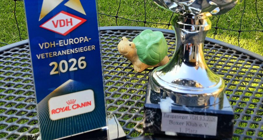 Zoltan vom German Dream Europasieger 2026