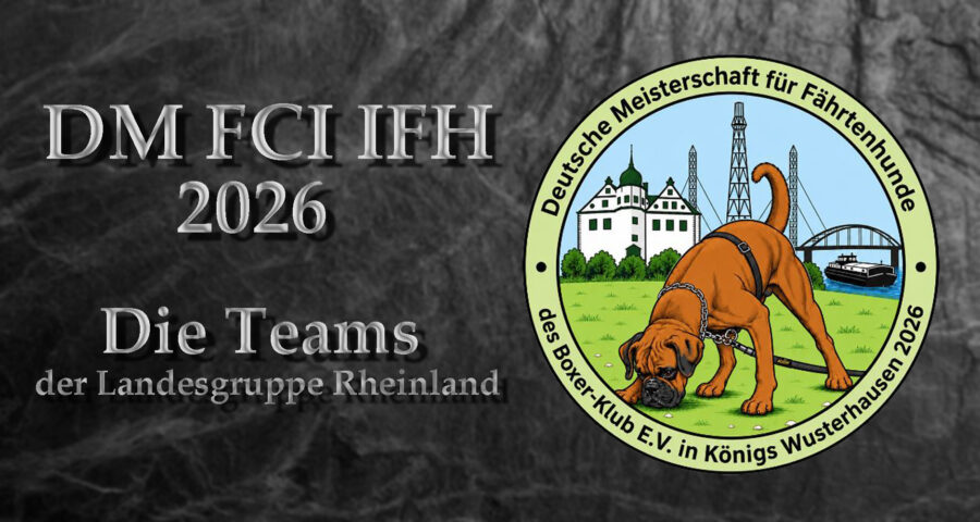 DM IFH 2026 Teams