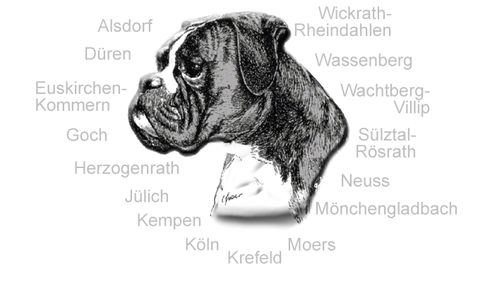 Gruppen Boxer-Klub Landesgruppe Rheinland