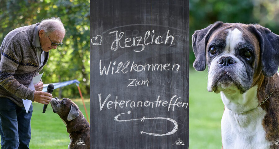 Veteranentreffen 2026
